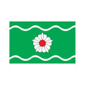 Jogeva Vald Flag N2822 A4 Photo Print