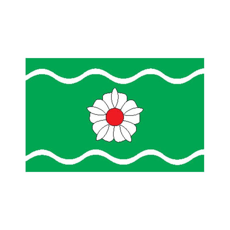 Jogeva Vald Flag N2822 A4 Photo Print