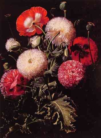 Johan Laurentz Jensen Still Life With Pink Red And White Poppies A4 Photo Print