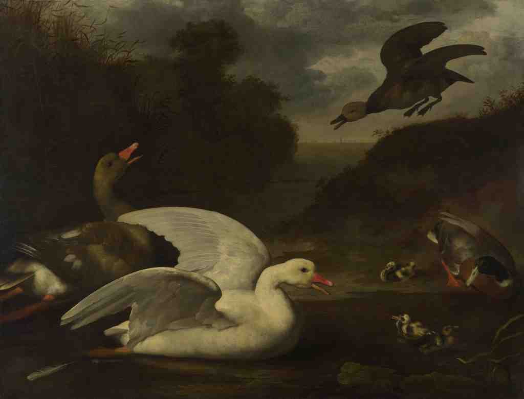 Johannes Spruyt Geese and Ducks A4 Photo Print