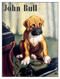 John Bull Boxer 2 Vintage Retro Advert Ads A4 Photo Print