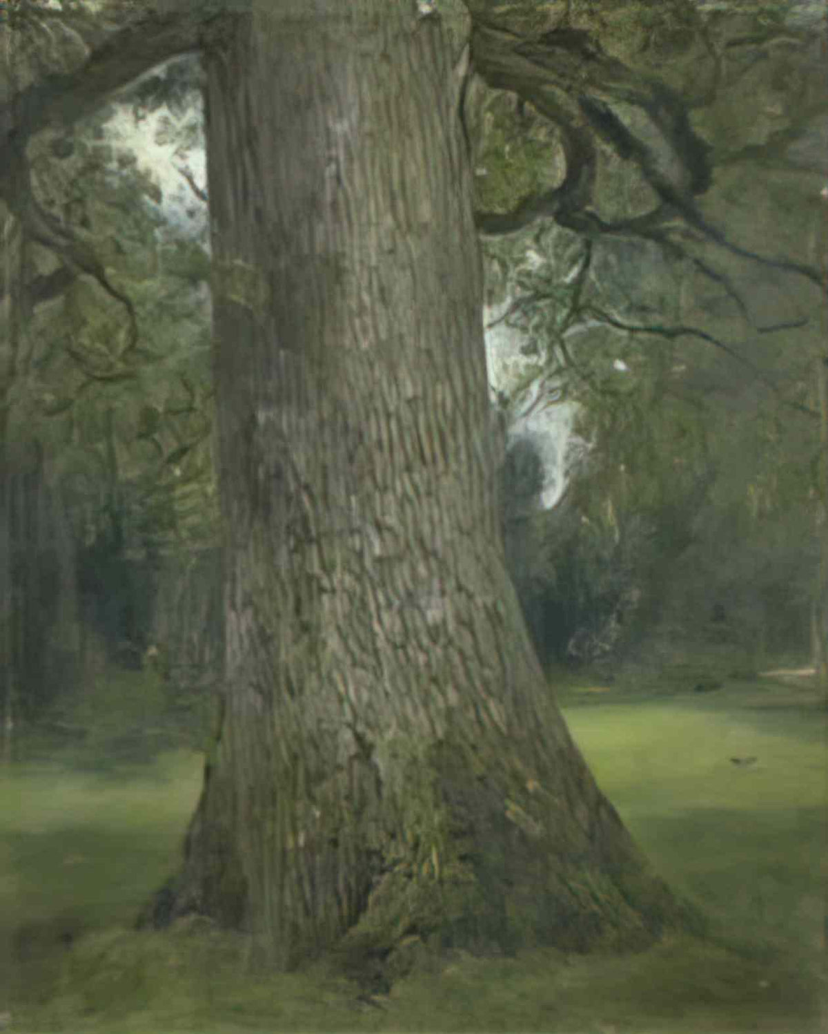 John Constable study of the trunk of an elm tree 1821 Art A4 Photo Print