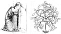 John D Batten Page 045 Fairy Art Vintage Illustration A4 Photo Print
