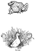 John D Batten Page 089 Fairy Art Vintage Illustration A4 Photo Print