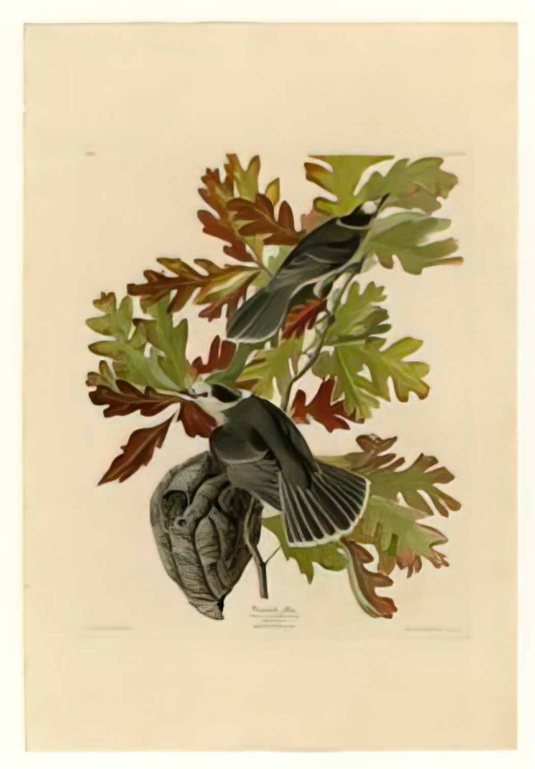 John Frederick Lewis john frederick lewis 002 Art A4 Photo Print