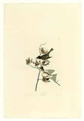 John Frederick Lewis john frederick lewis a sketch for foresters stal Art A4 Photo Print