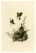 John Frederick Lewis john frederick lewis study for the courtyard of Art A4 Photo Print