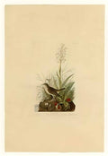 John Frederick Lewis schetsen van een reis naar spanje capilla de vil Art A4 Photo Print