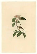 John Frederick Lewis schetsen van een reis naar spanje plaza de san f Art A4 Photo Print