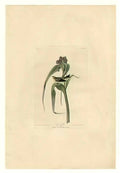 John Glover my harvest home 1835 Art A4 Photo Print