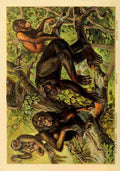 Johnsons household book of nature Monkeys A4 Photo Print