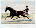 Johnston Horse 001 Vintage A4 Photo Print
