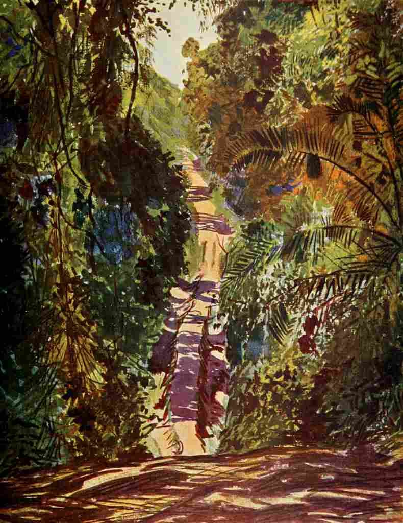 Johnston Sir Harry 1902 Causeway through a swampy forest Uganda A4 Photo Print