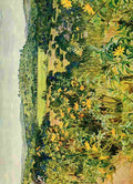 Johnston Sir Harry 1902 Landscape in Uganda Bwekula A4 Photo Print