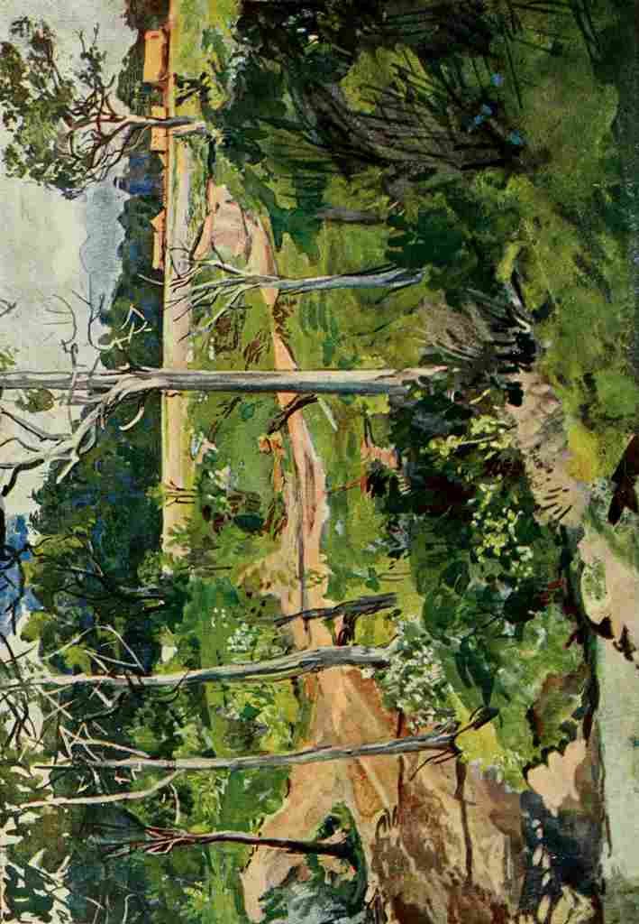 Johnston Sir Harry 1902 Landscape on the Mau Plateau A4 Photo Print