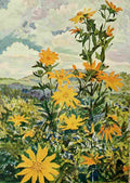 Johnston Sir Harry 1902 Sunflowers in Uganda A4 Photo Print