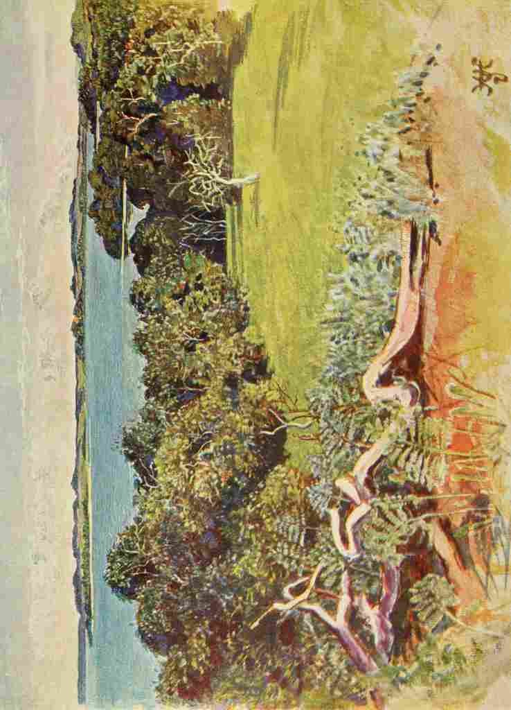 Johnston Sir Harry 1902 The Sese Islands A4 Photo Print