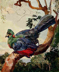 Johnston Sir Harry 1902 Turaco of Ruwenzori A4 Photo Print