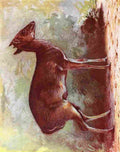 Johnston Sir Harry 1906 Maxwells Duiker A4 Photo Print