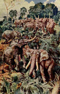 Johnston Sir Harry 1912 Elephants destroying a palm grove A4 Photo Print