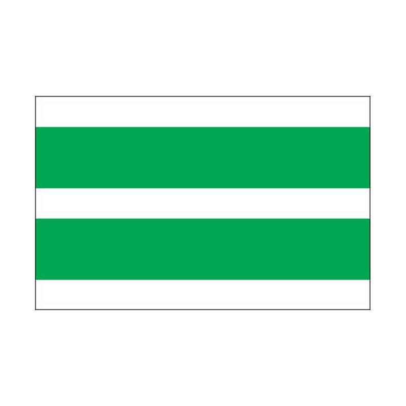Johvi City Flag N2824 A4 Photo Print