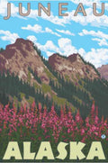Juneau Alaska Wildflowers Vintage Retro Advert Ads A4 Photo Print