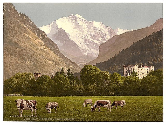 Jungfrau and Jungfraublick Hote Vintage A4 Photo Print