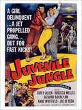 Juvenile Jungle Teenage Delinquent Movie Poster 1950s Vintage Retro Advert Post