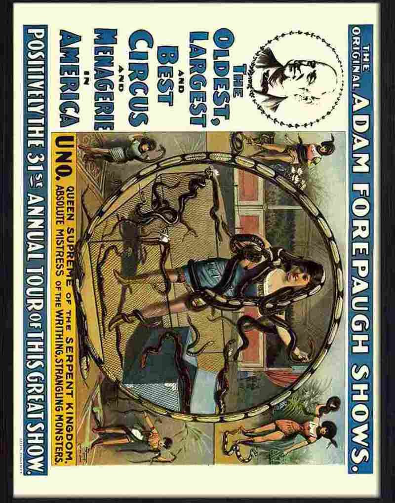 K adam forepaugh shows snake woman circus poster Advert A4 Photo Print