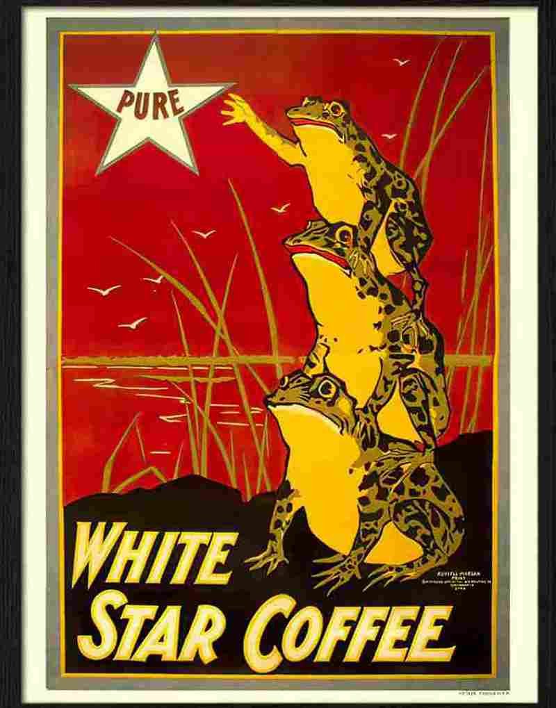 K white star coffee frogs 2 Advert A4 Photo Print
