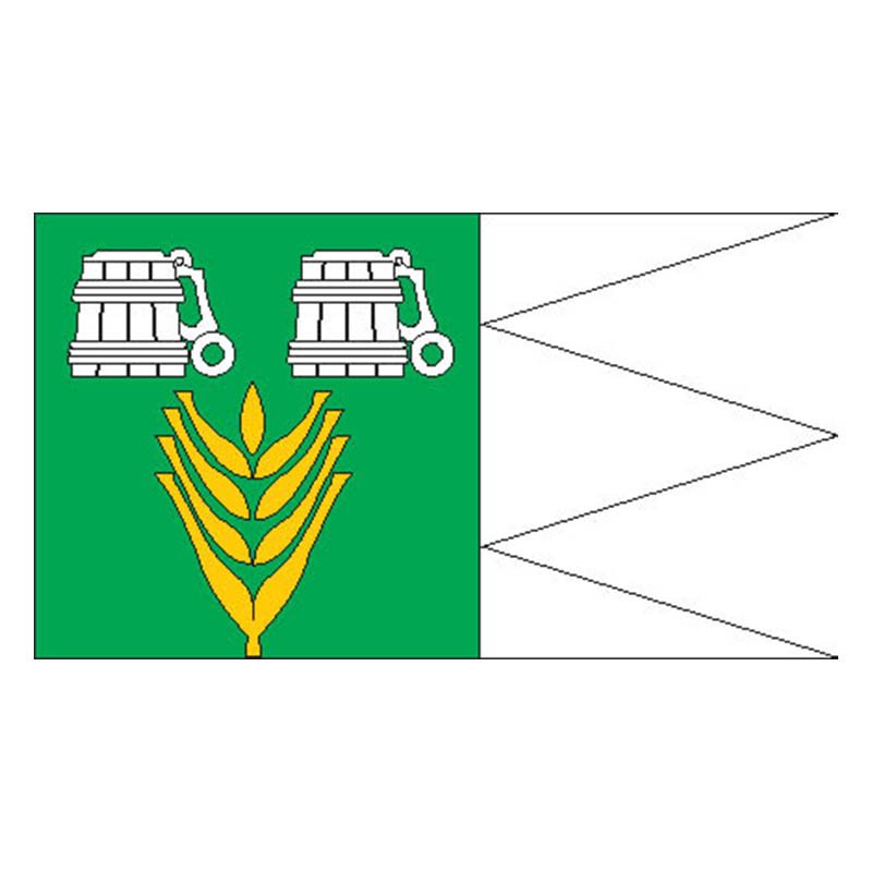 Kaina Vald Flag N2754 A4 Photo Print