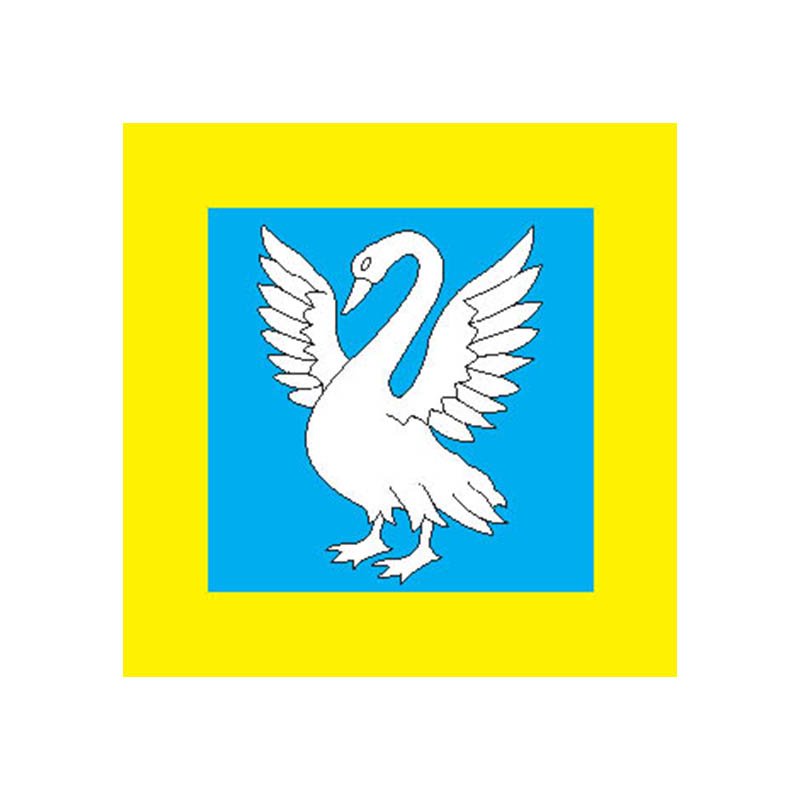 Kaisma Vald Flag N2854 A4 Photo Print