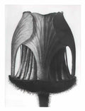 Jury Annenkov vladimir mayakovsky Art A4 Photo Print