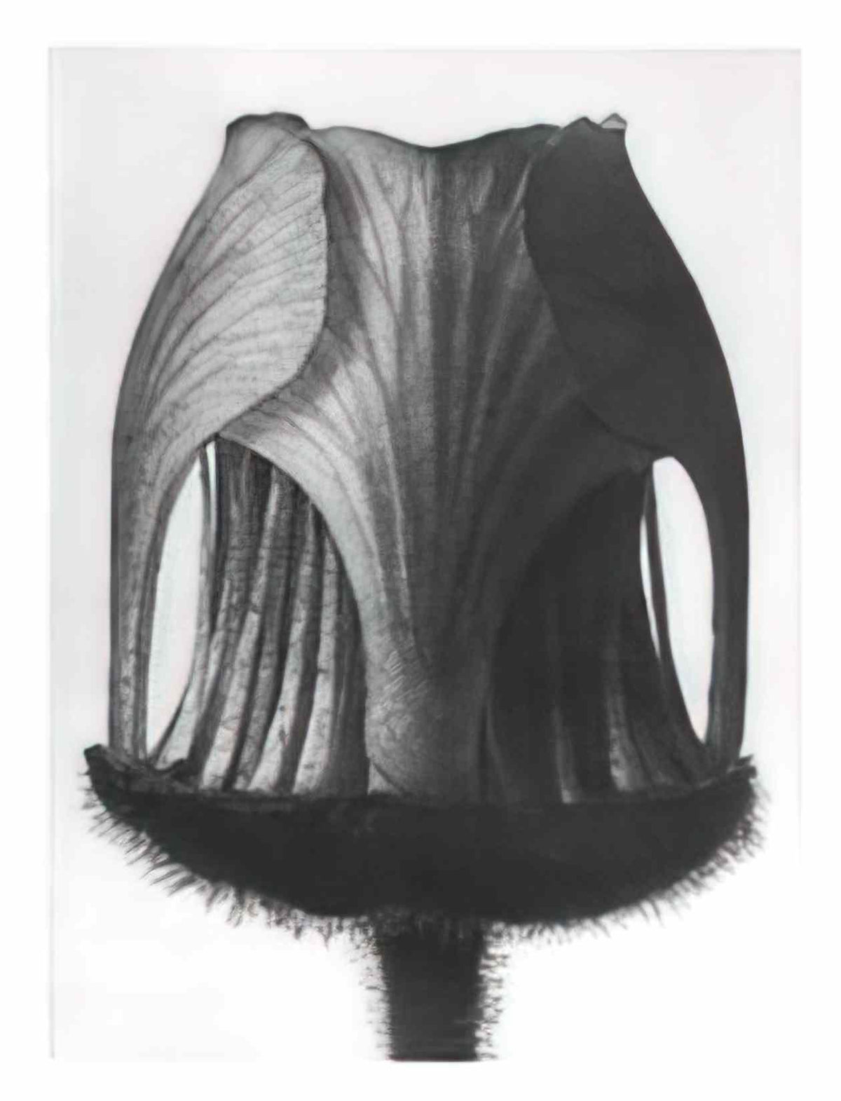 Jury Annenkov vladimir mayakovsky Art A4 Photo Print