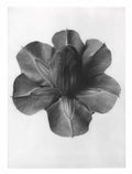 Jusepe de Ribera st peter Art A4 Photo Print