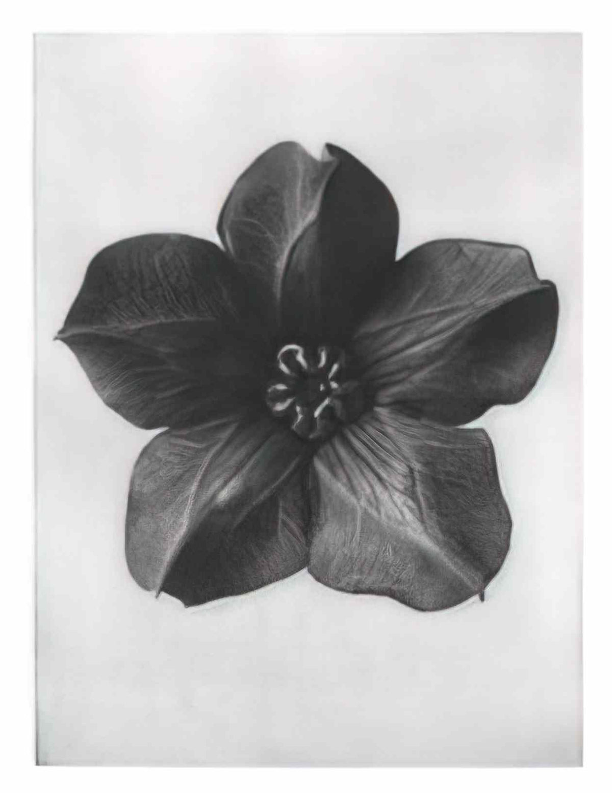 Jusepe de Ribera st philip Art A4 Photo Print