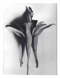 Jusepe de Ribera the trinity Art A4 Photo Print