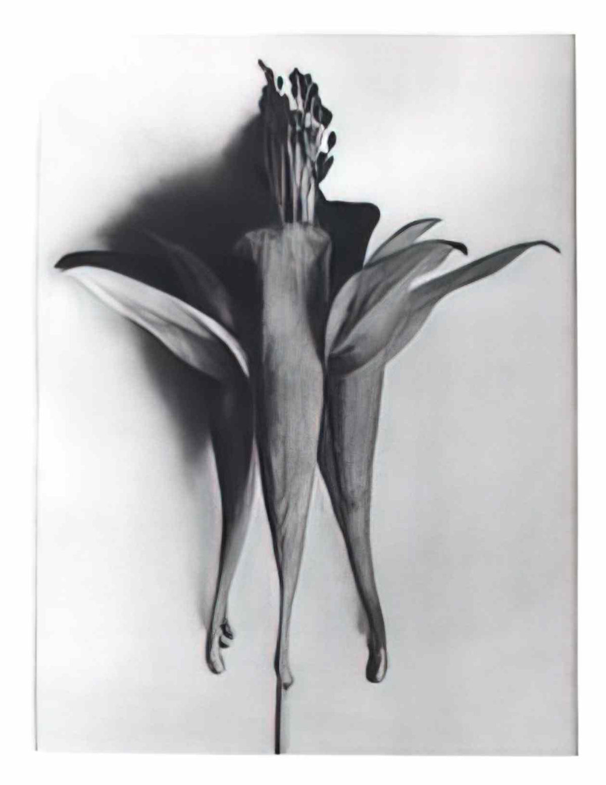 Jusepe de Ribera the trinity Art A4 Photo Print
