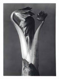Jusepe de Ribera venus und adonis 1637 Art A4 Photo Print