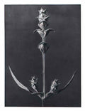 Justus van Gent ambrosio sant ambrogio studiolo di federico da montef Art A4 Photo Print