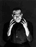 Karloff Boris Frankenstein 09 film star poster A4 Photo Print