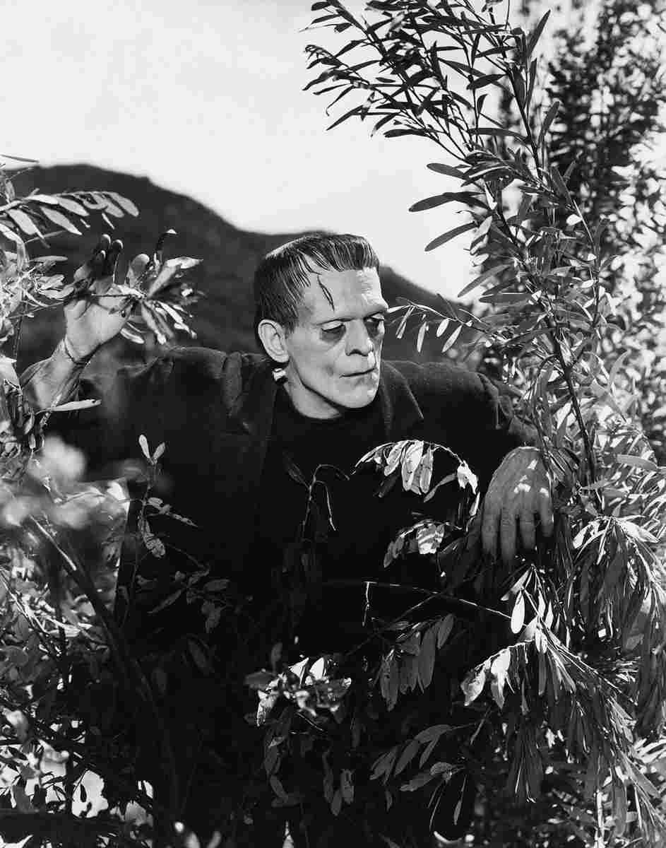 Karloff Boris Frankenstein 13 film star poster A4 Photo Print