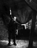 Karloff Boris Frankenstein 15 film star poster A4 Photo Print