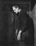Karloff Boris Frankenstein 3 film star poster A4 Photo Print