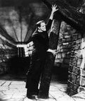 Karloff Boris Frankenstein 7 film star poster A4 Photo Print