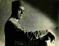 Karloff Boris Mummy The z8S film star poster A4 Photo Print