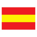 Karlsruhe City Flag N5973 A4 Photo Print