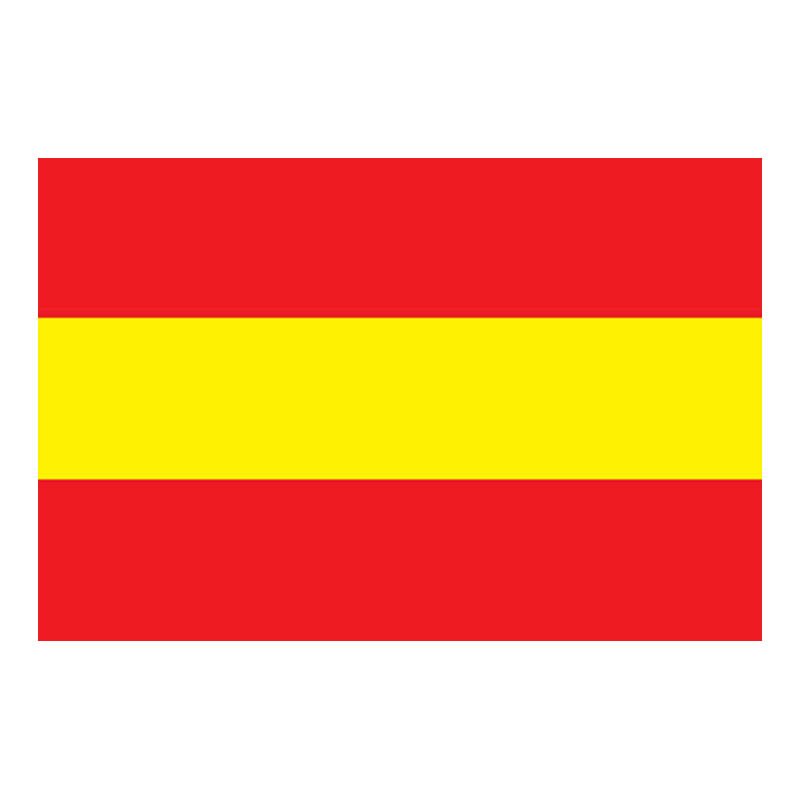 Karlsruhe City Flag N5973 A4 Photo Print