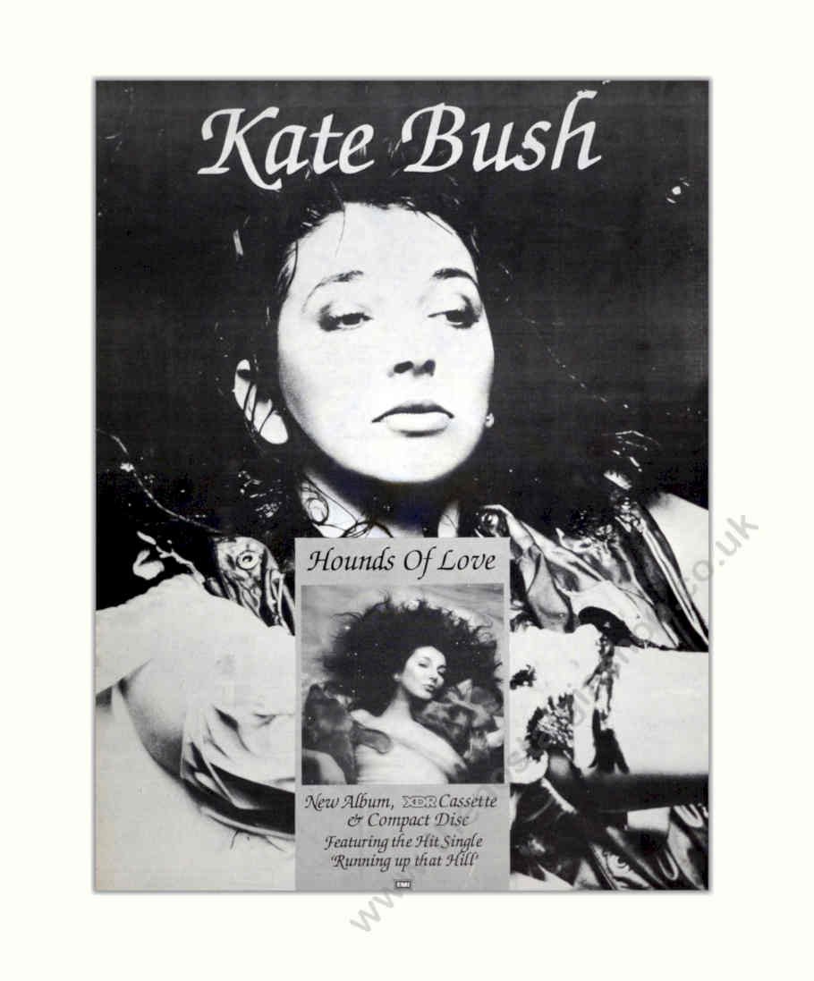 Kate Bush Hounds Vintage Retro Advert Poster A4 Photo Print