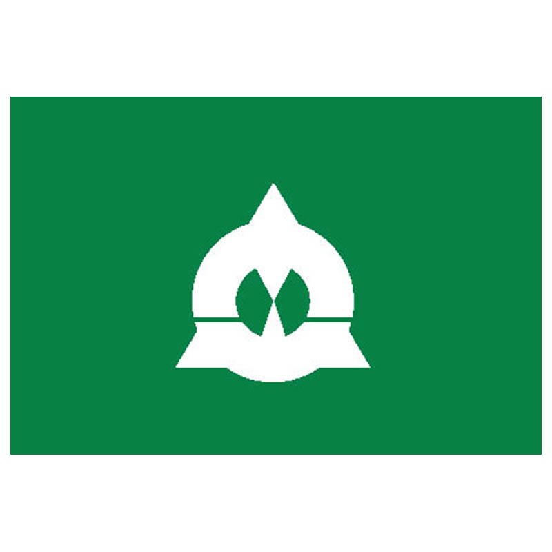 Katsuyama City Flag N2640 A4 Photo Print